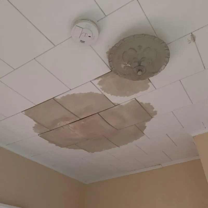 Ceiling Water Damage Repair in West Blocton, AL