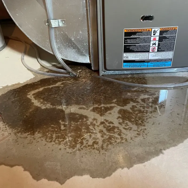 Pipe Burst and Leak Restoration in West Blocton, AL