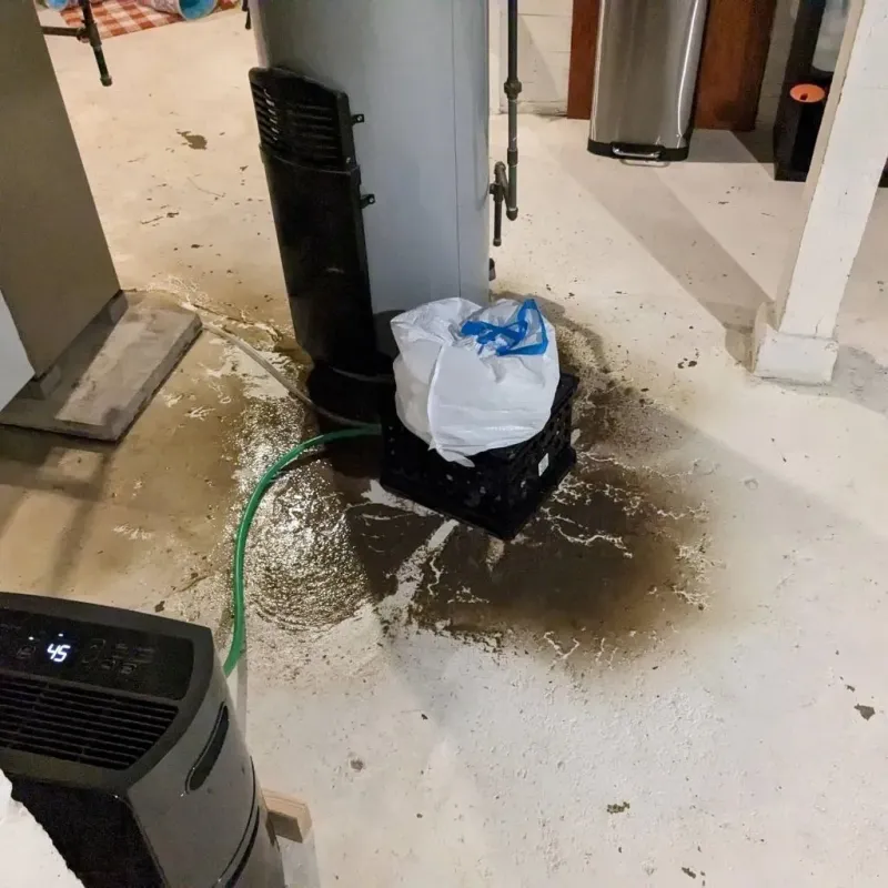Sewage Backup Cleanup Service in West Blocton, AL